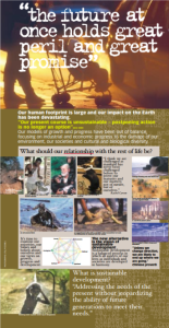 8e516dc3d902f5e0f0475c008f839dcb79e9076e